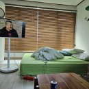 아보하 | 강화도 애견동반 펜션 추천☆수영장+애견운동장 사람까지 신난 아보하 펜션 후기