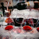 황금의 언덕 부르고뉴 와인 | 신혼여행과 함께, 유럽 와이너리 투어