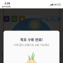 양파마켓 이미지