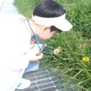 알로만농원 이미지