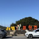 새별 | 제주도 새별프렌즈 솔직 후기 아이와 가볼만한 곳?