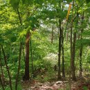 산업전사 위령탑 이미지