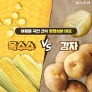 국민간식 Daum카페