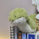 대흥조선 | 대흥 사주명리연구소 후기!!