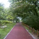 [피서 성지 순례] 오랜 세월을 머금은 푸른 숲과 연꽃의 즐거운 향연 ~ 함양 상림공원 (한남군묘역) 이미지
