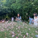 화순초등학교이서분교장 이미지