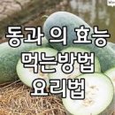 동과 효능 동과 칼로리 먹는 법 동과 차 이미지