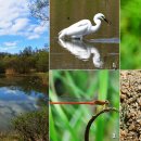 생태공원 이미지