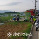 용흥3리마을회관 이미지