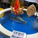 마산-중앙-중앙센터-16 | [강원/강릉] '강릉한신회센터' 신선한 강릉중앙시장 활어회 맛집 내돈내산 후기