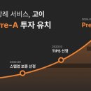 고이 이미지