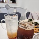 아코르테