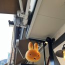 [일본 후쿠오카] 유후인 놀거리 먹거리 (only 사진만 | 장어덮밥 | 마메시바 | )