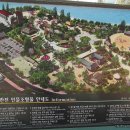 정선아라리촌