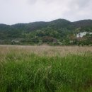 삼우기사님식당 이미지