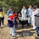 완도약산흑염소 이미지