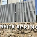 화이트 스프링(WHITE SPRING) 이미지
