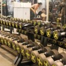 메이저핏 이미지