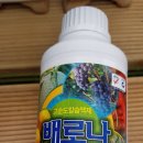 (주)이노바텍 이미지