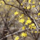 화전2리 경로당 이미지