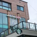 분당-175 | [분당 강아지 가족사진 솔직 후기]스튜디오 천천히