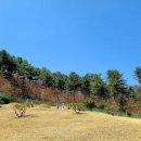 이춘원선생묘역 및 신도비 이미지