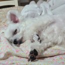 (주)메트워크 이미지