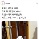 프롬벨르 이미지
