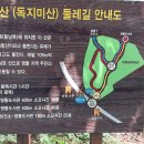 [후기]마실걷기 6/21(수)수원영통중앙공원(독침산)~영흥공원숲길 이미지