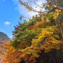 산자락에 이미지