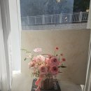 아기 셀프백일상 백일상 대여없이 집에서 차려준 내돈내산 백일상 후기