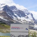 지인들과 함깨한 캐나다 로키여행기(6)...아따바스카 빙하 걸어보기 이미지