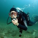 수민이네 이미지