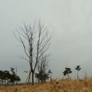 밀양아리랑 오토캠핑장 이미지