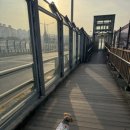 댕댕회관 이미지