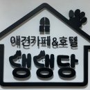 애견카페&호텔 댕댕당 이미지