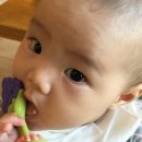 빵장수 단팥빵(정관점) 이미지