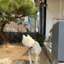 카페지즈