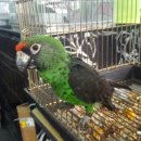 인천조류원 이미지