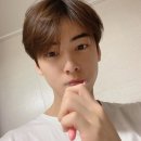 모숲 이미지