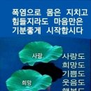 행복이있는곳
