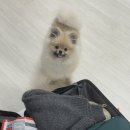 민정농장2 | 한라산에 가다 !