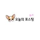 광주 반려동물용품 위글리펫 용봉점 네이버블로그