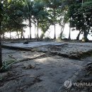 강진주유소 이미지