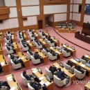 조정하는조정호
