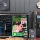 동문동536 이미지