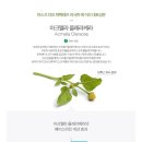 비사쥬 네이버블로그