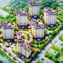 거제-거제-거제-비상-11 이미지