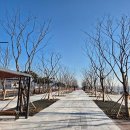 도시상징광장 이미지