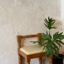 애니스 라자냐 이미지